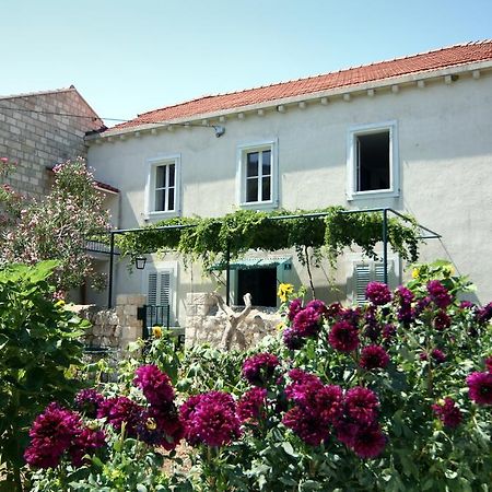 Guest House Katica Zaton  Bagian luar foto