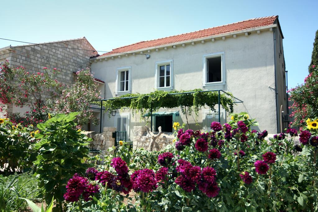 Guest House Katica Zaton  Bagian luar foto