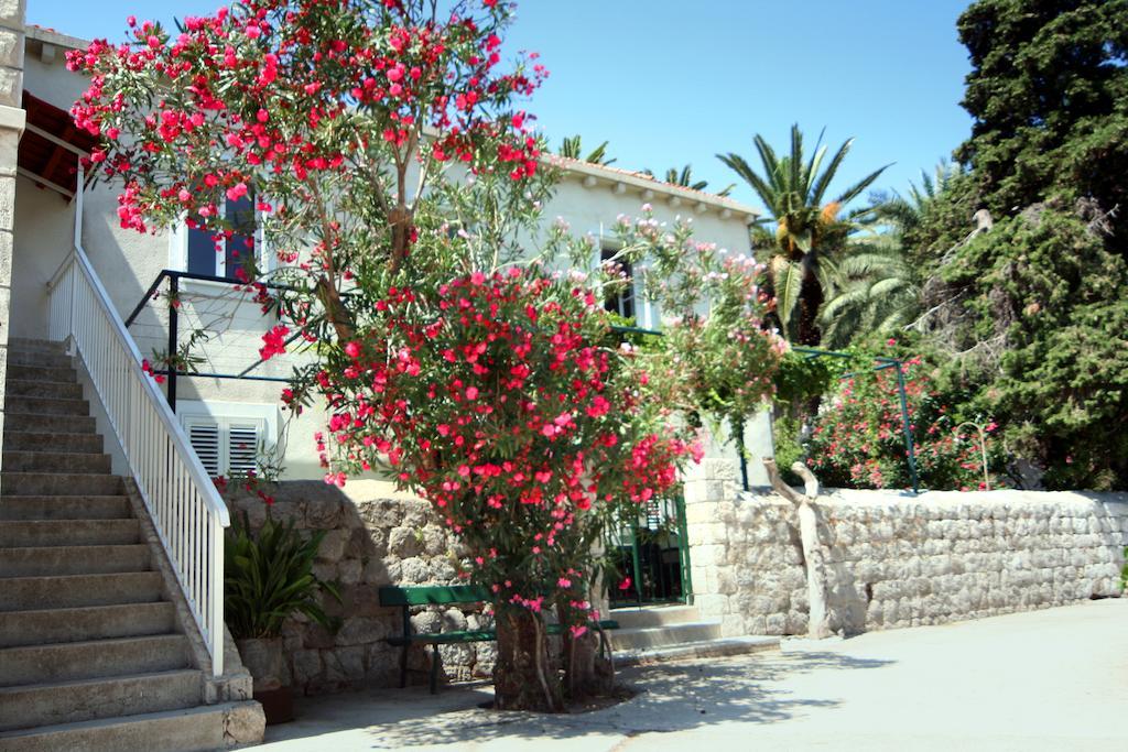 Guest House Katica Zaton  Bagian luar foto